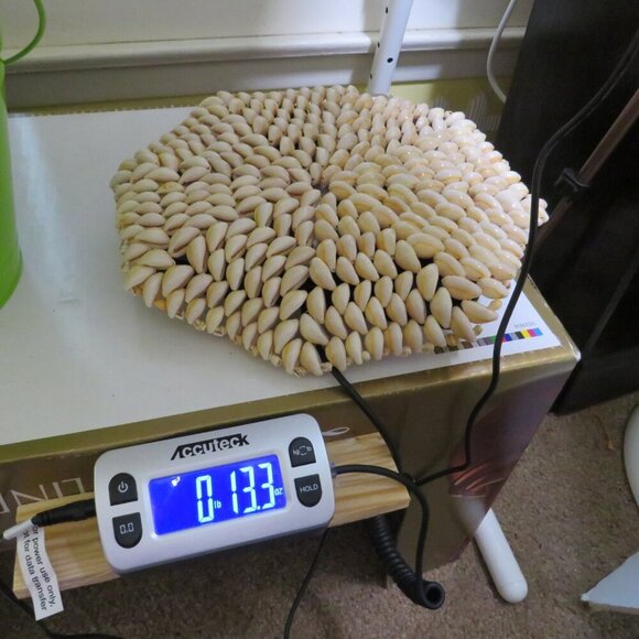 Carib Cowrie Seashell Trivet Octagon Handmade Philippines 10" - Picture 2 of 6